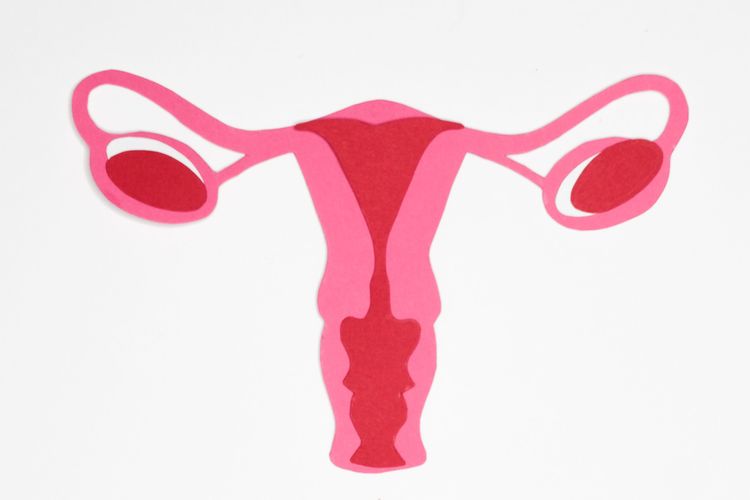 Seberapa Penting Vaksin HPV untuk Cegah Kanker Serviks?
