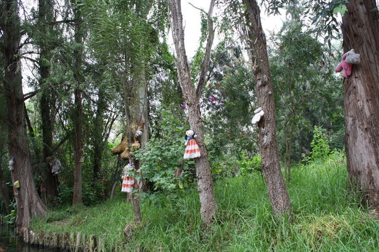 Boneka dipasang untuk mengenang jiwa anak perempuan yang tenggelam di danau sekitar pulau.