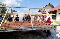 Spesialnya Cokelat Jembrana Bali, Salah Satu Cokelat Terbaik Dunia