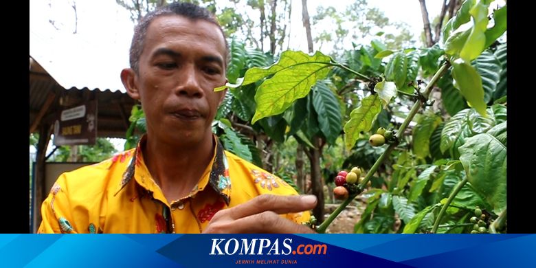 Wisata Kuliner Desa Sikabau Apa Saja yang Bisa Dicicipi?