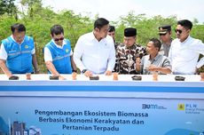 Didukung Kementan, Program "Green Economy Village" Untungkan PLN dan Petani