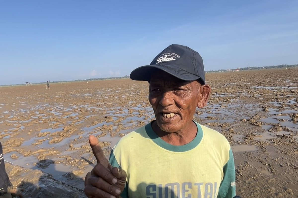 Memupuk Tekad Petani Aceh Kembali Menanam Setelah Banjir Bandang