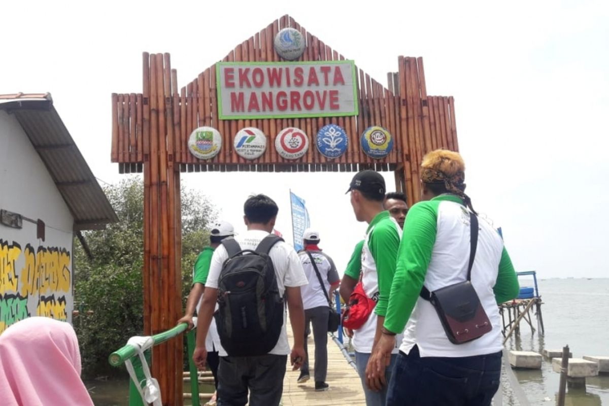 Kawasan ekowisata Mangrove di Desa Pantai Mekar, Kecamatan Muara Gembobg, Kabupaten Bekasi resmi dibuka, Kamis (29/11/2018).
