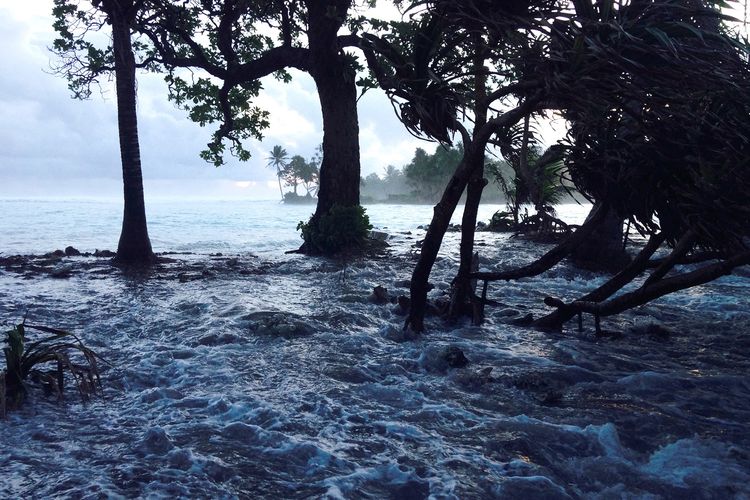 Kisah Remaja China Bohongi Orangtua demi Jadi Relawan Banjir, Berujung Dapat Hadiah