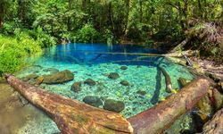 80 Hektare Lahan dalam Kawasan TNKS Dirambah jadi Perkebunan Kopi