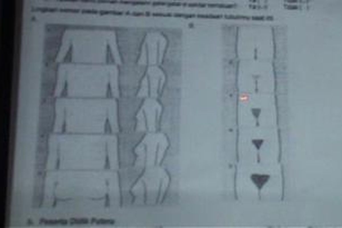 Ini merupakan salah satu halaman kuisioner yang harus di isi oleh siswa tentang ukuran alat kelamin mereka. ***** K12-11