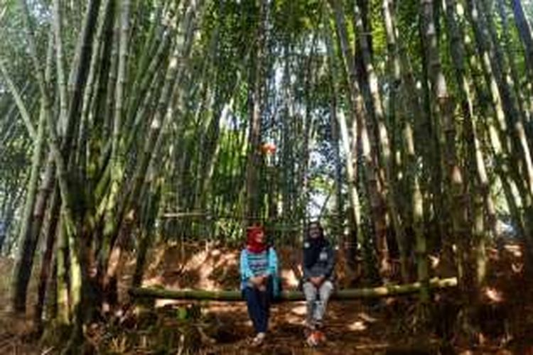 Kampung Bambu Klatakan, Dusun Bojong, Desa Wringinputih, Kecamatan Borobudur, Kabupaten Magelang, Jawa Tengah, diresmikan sebagai obyek wisata pendukung Candi Borobudur, Minggu (4/9/2016).