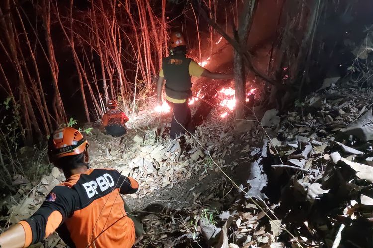 Panas Ekstrem, 2 Hektar Hutan Pucang Rangga Lumajang Terbakar