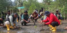 Hijaukan Pesisir Pangandaran, Kementerian KP, Pemda, dan Masyarakat Tanam 700 Pohon