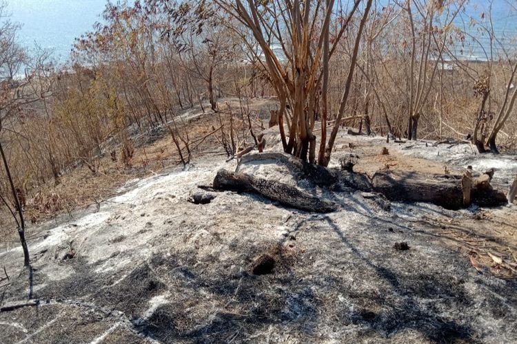 Foto: Kebakaran lahan pertanian di Desa Rokirole, Kecamatan Palue, Kabupaten Sikka, Nusa Tenggara Timur (NTT).