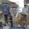 Jaga Kelestarian Ikan Endemik, Kementerian KP Kembangkan Pembenihan Ikan Gabus di Kalsel
