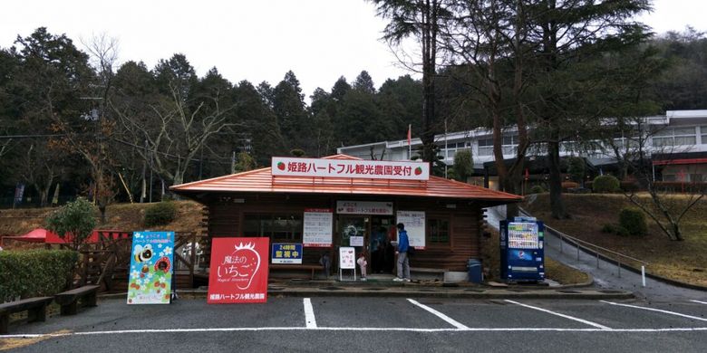 Kebun stroberi Himeji Heartful Tourist Farm di Kota Himeji, Prefektur Hyogo, Jepang, Senin (5/3/2018).