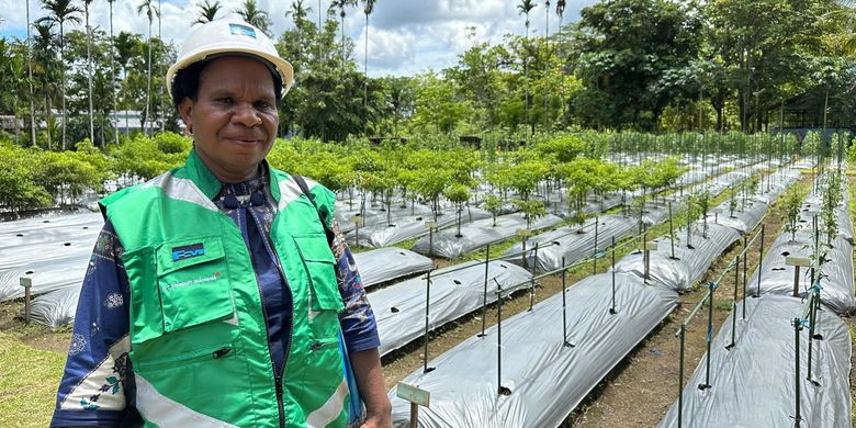 Tina Komangal, perempuan Suku Amungme, asal Kampung Waa Banti, Distrik Tembagapura, Mimika, sejak 2012 bekerja sebagai kontraktor di PT Freeport Indonesia (PTFI). Ia bersama delapan karyawannya mengelola pertanian dan penghijauan di area Pusat Reklamasi dan Keanekaragaman Hayati PTFI.
