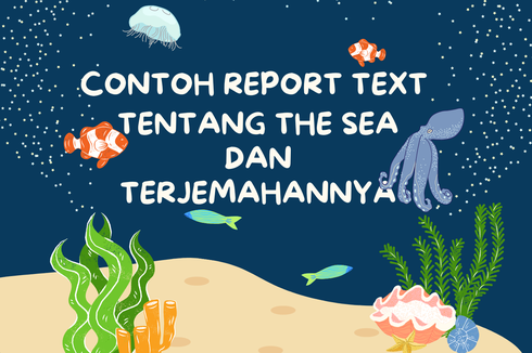 Contoh Report Text tentang The Sea dan Terjemahannya