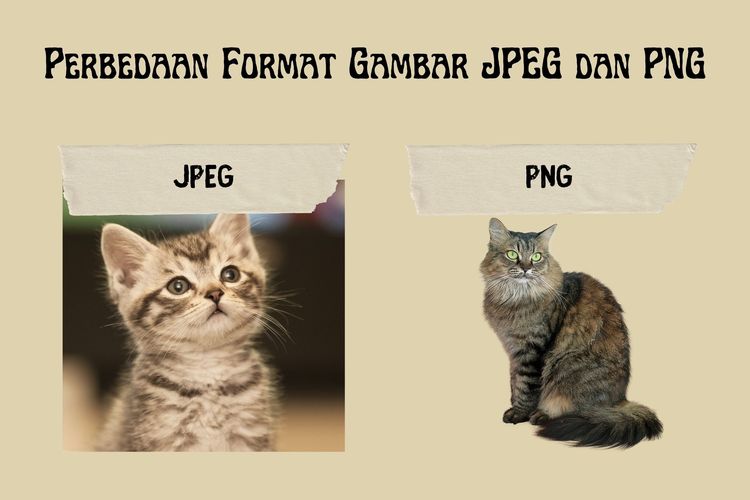 Ilustrasi perbedaan format gambar JPEG dan PNG