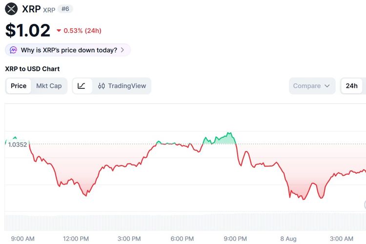 Harga XRP Hari Ini 8 Agustus 2026 Terus Jeblok