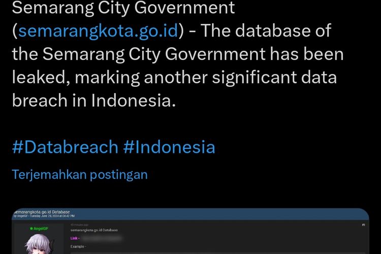 Screenshot data Pemerintah Kota Semarang yang diduga bocor di unggahan akun X @falconfeedsio.