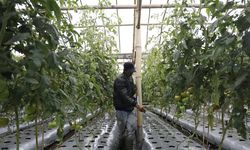 Kementan Dorong Produktivitas Sektor Pertanian dengan Realisasikan Irigasi Perpipaan