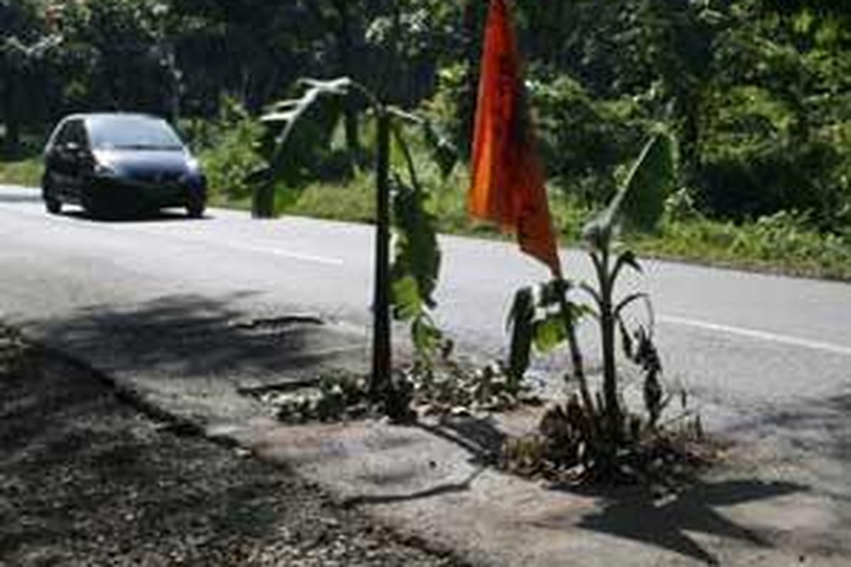 Jalan utama penghubung Kabupaten Subang dan Purwakarta, Jawa Barat, di Desa Rawalele, Kecamatan Dawuan, Kabupaten Subang, Senin (2/3) ditanami pohon pisang oleh warga akibat berlubang. Kerusakan itu membuat intensitas kecelakaan di titik tersebut semakin tinggi.