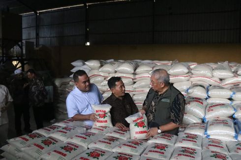 Tinjau Sawah di Blora, Dirut Bulog: Kami Melihat Langsung Tanda-tanda Awal Panen...