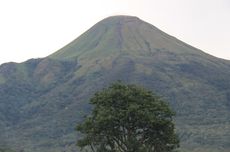 Penangkapan Gembong Narkotika Rp 5 T, Waka MPR: Spektakuler!