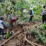 Dalam Dua Hari, 2 Gajah di Aceh Mati, Salah Satunya Masih Bayi