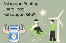 Seberapa Penting Energi bagi Kehidupan Kita?