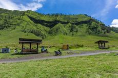 Sabana Bromo Menghijau Lagi, Ini Tempat Terbaik Melihatnya