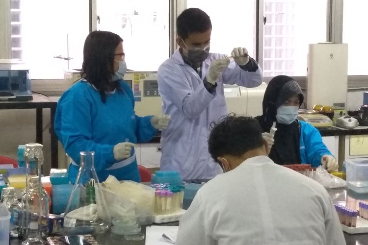 Beberapa orang sedang melakukan uji lab di ruang virologi di Balai Veteriner Medan. Kepala Balai Veteriner Medan, Agustia menyebut bahwa selain serangan hog cholera, pihaknya juga menemukan indikasi virus ASF.
