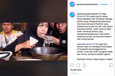 Kritik Konten Makan Gurita Hidup, Garda Satwa Temui Tim Ria Ricis 