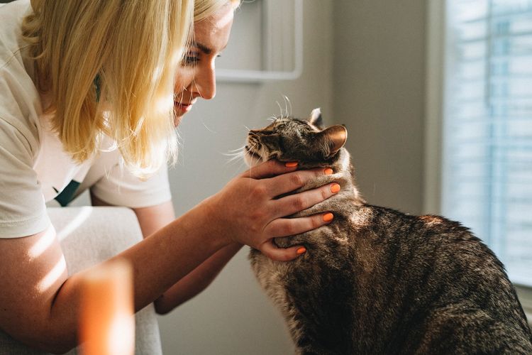 Alasan lain kenapa kucing tidak suka makanan kering yang biasa dimakannya adalah karena adanya indikasi masalah kesehatan.