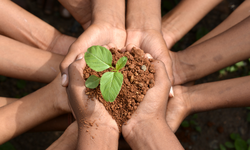 Kanada Rilis Panduan Anti-Greenwashing untuk Perusahaan