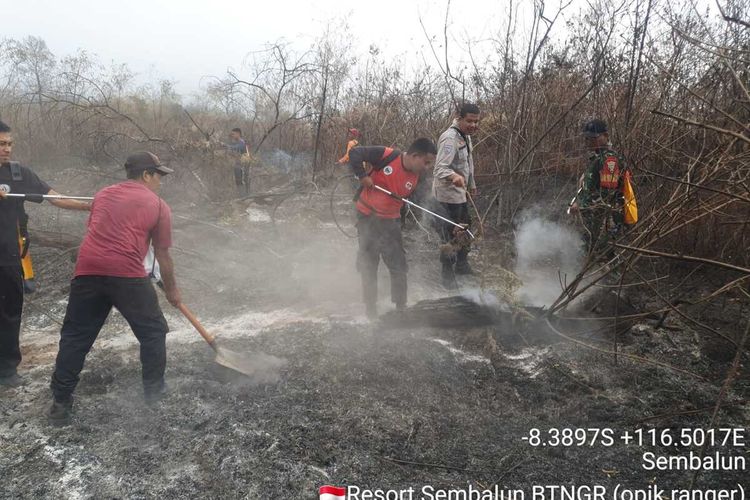 Proses Pemadaman kebakaran hutan di kawasan hutan Rinjani, Jumat (3/11/2022)