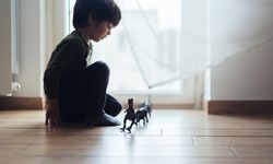 Broken Home Artinya Apa? Kenali Makna, Dampak, dan Pemulihannya