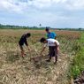 Jatuh ke Sawah, Pencuri Sepeda Motor di Malang Tewas Usai Diamuk Massa