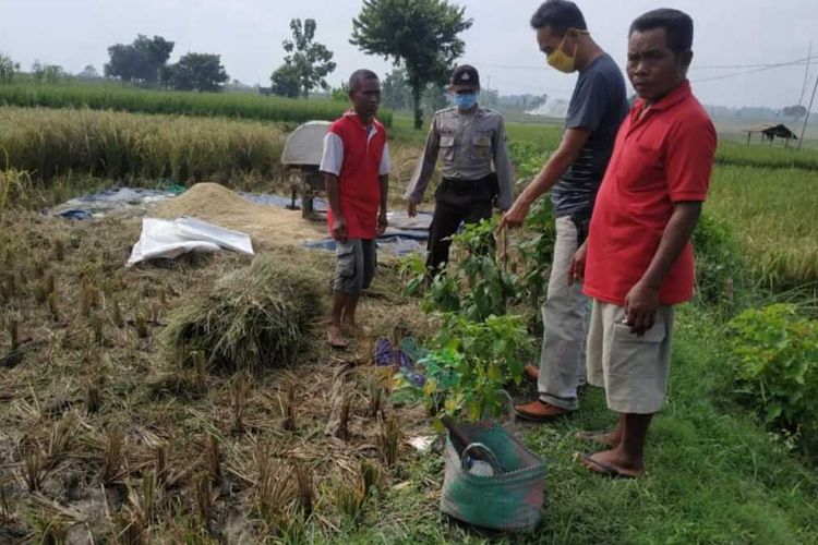 Lokasi tewasnya Sugiyah (52) seorang petani di Desa Panolan, Kecamatan Kedungtuban, Kabupaten Blora, Jawa Tengah, yang minum apotas, Jumat (17/4/2020).