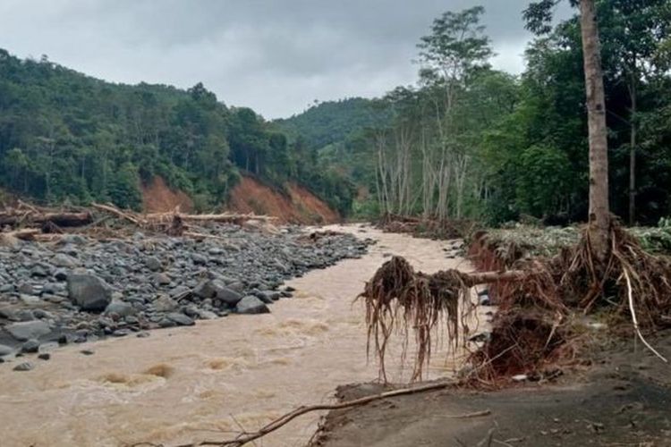 Banjir bandang dan tanah longsor tidak cuma merusak permukiman warga Dayak Meratus di Kecaman Hantakan, Hulu Sungai Tengah, tapi juga mengubah lanskap ekosistem.