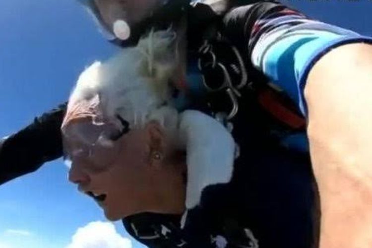 Nenek Florida berusia 100 tahun melompat dari pesawat.