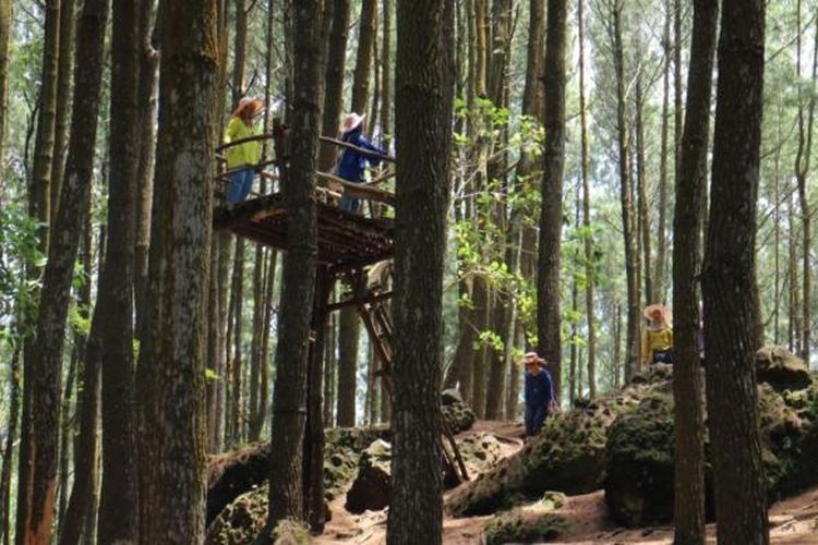 Hutan Pinus Mangunan masuk dalam kawasan Resort Pengelolaan Hutan (RPH) Mangunan. Lokasinya yang searah dengan Makam Raja-raja Imogiri seringkali membuat wisatawan terkecoh dengan menyebutnya Hutan Pinus Imogiri. 