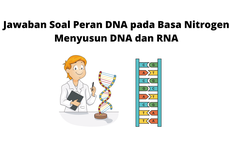 Jawaban Soal Peran DNA pada Basa Nitrogen Menyusun DNA dan RNA