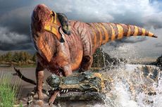 Deinosuchus: Buaya Purba Raksasa yang Mengalahkan Dinosaurus