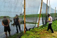 Marak Aksi Perampokan Tambak Udang di Serang, Ini Respons Polda Banten