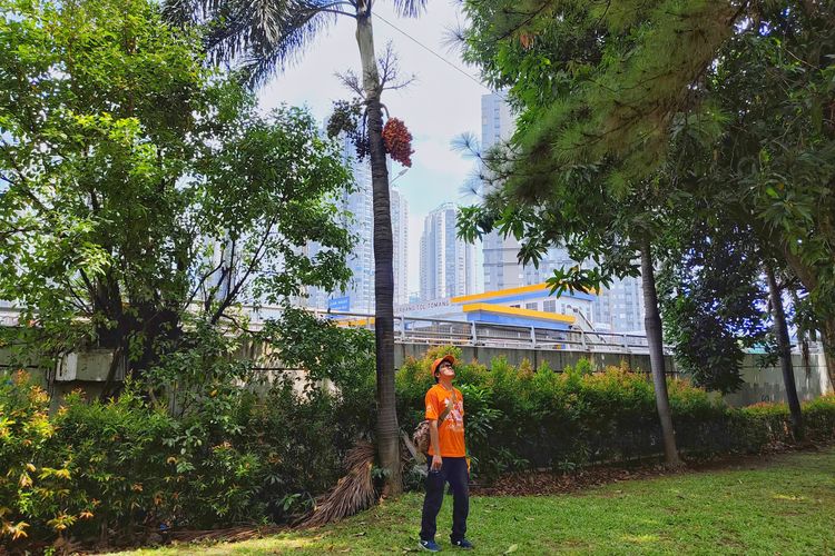 Taman Cattleya, kawasan wisata terbuka hijau di Jakarta Barat, Selasa (14/10/2025). 
