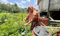 Setelah Puluhan Tahun BAB Sembarangan, Warga Sekadau Hilir Kini Punya Toilet yang Layak
