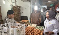 Jelang Lebaran, Kementan Monitor Ketersediaan dan Harga Pangan di Sumbar