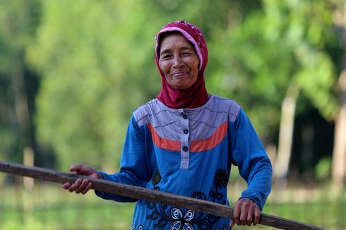 Kisah Transmigran Lampung Berjibaku dengan Gajah