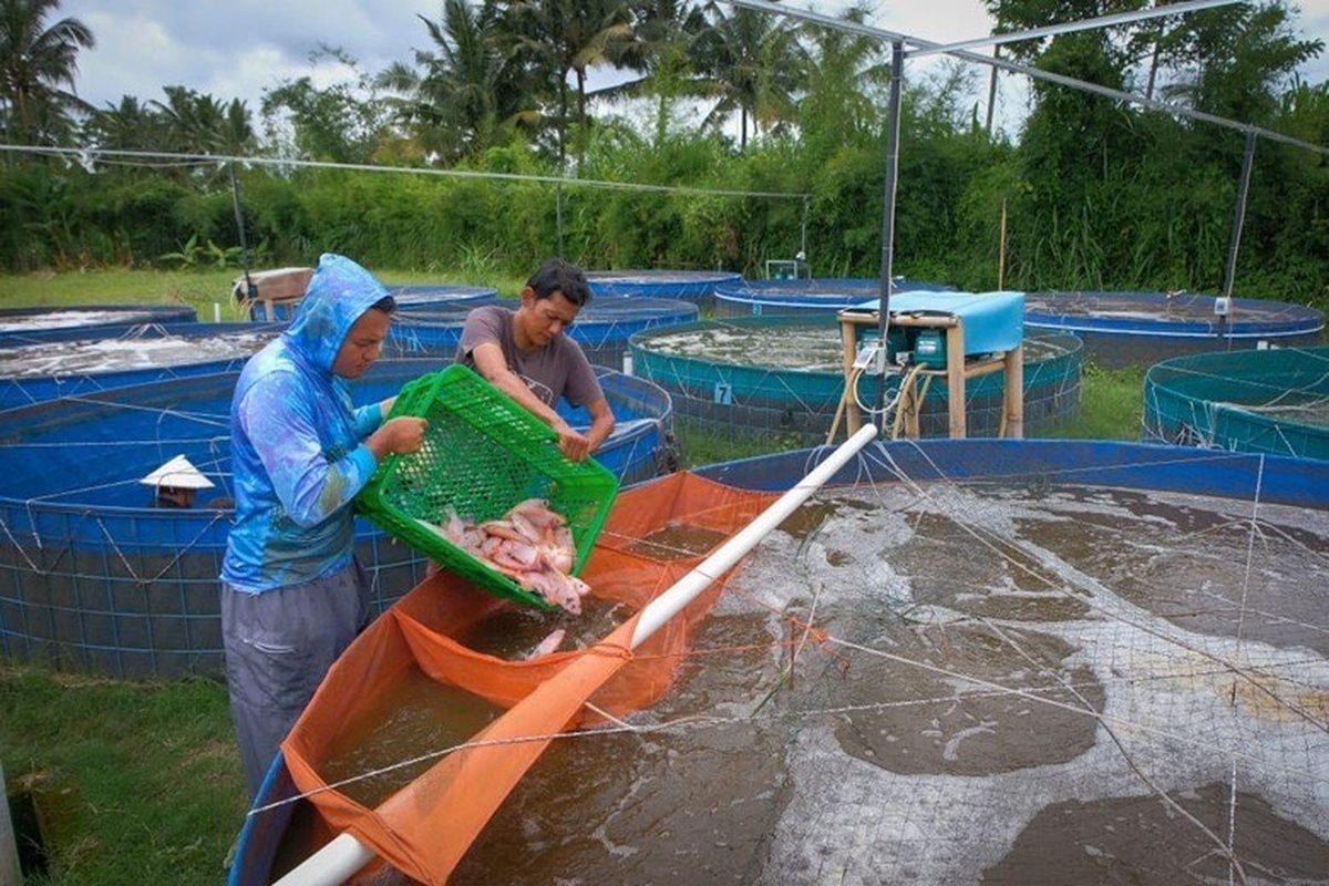BRI memiliki berbagai program pemberdayaan UMKM. Salah satunya adalah Klasterku Hidupku. 