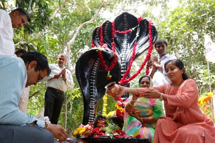 Umat Hindu berdoa di kuil ular selama festival Nag Panchami di Hyderabad, India, Selasa, 2 Agustus 2022. 