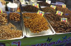 Serangga Jadi Sumber Protein Makan Bergizi Gratis? Ini Kata Pakar Entomologi