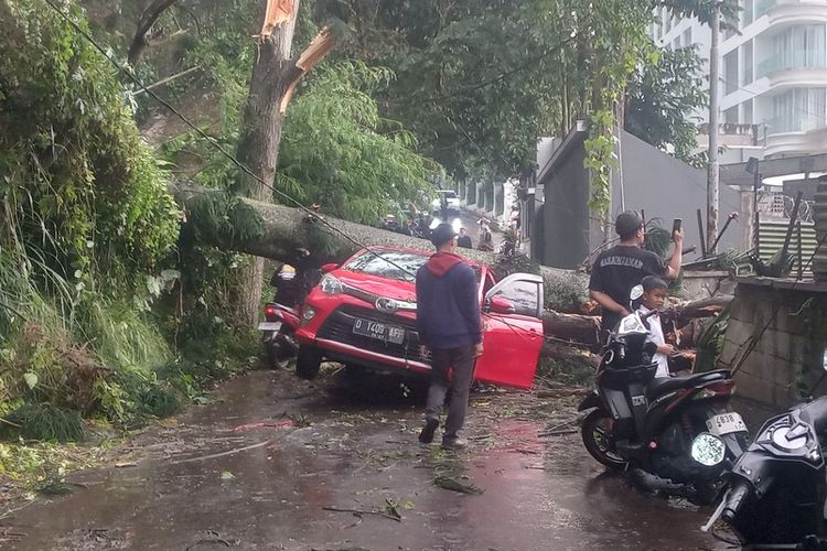 Kasus Pohon Tumbang Meningkat di Bandung, Pemkot Perkuat Mitigasi saat Cuaca Ekstrem